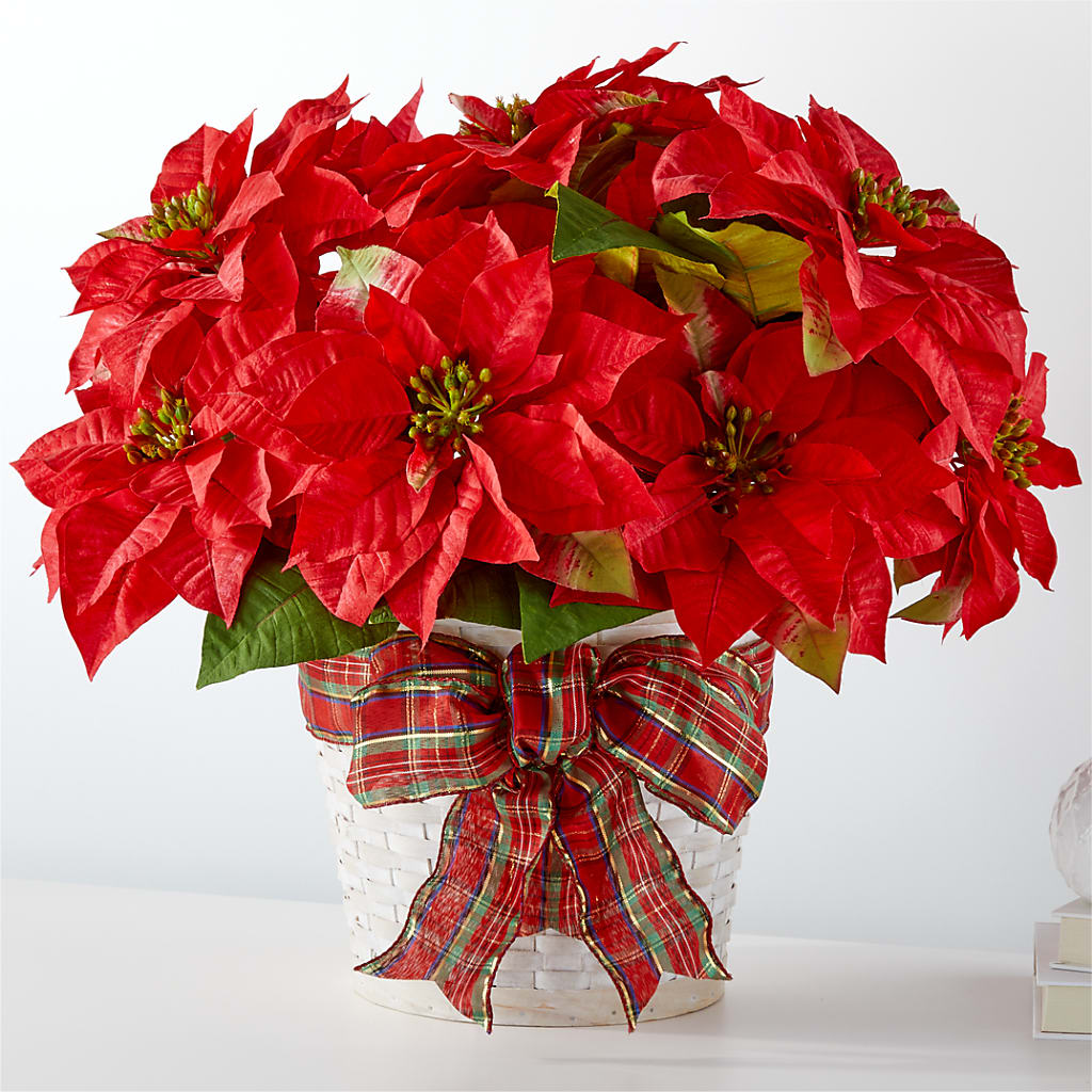 Happiest Holidays Poinsettia – Peonies Plants On Main, Woodruff SC