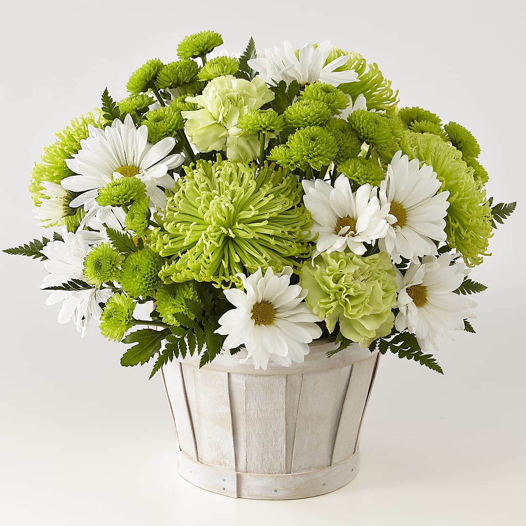 Lucky Charm Basket (Standard) – Peonies Plants On Main, Woodruff SC