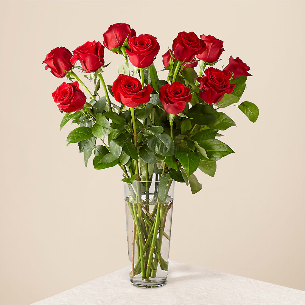 Long Stem Red Rose Bouquet – Peonies Plants On Main, Woodruff SC