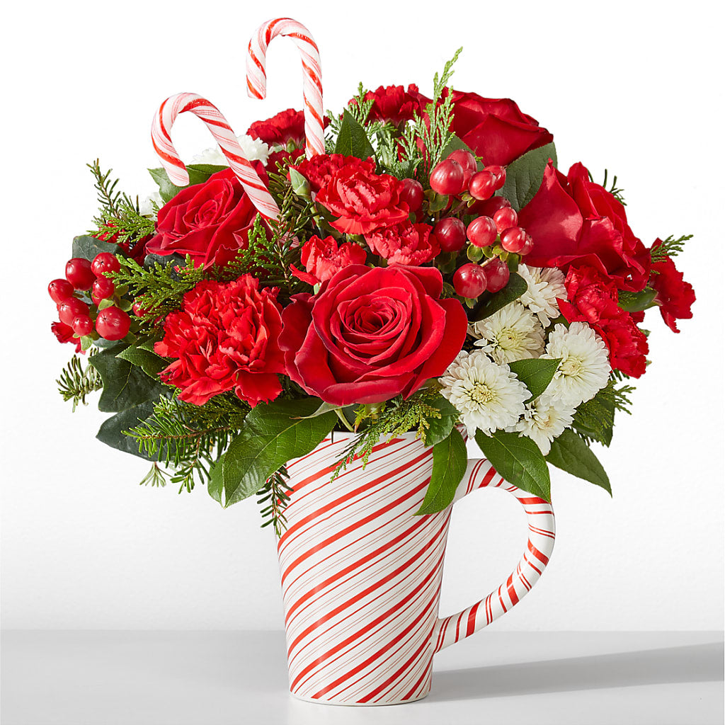 Peppermint Swirl Mug – Peonies Plants On Main, Woodruff SC