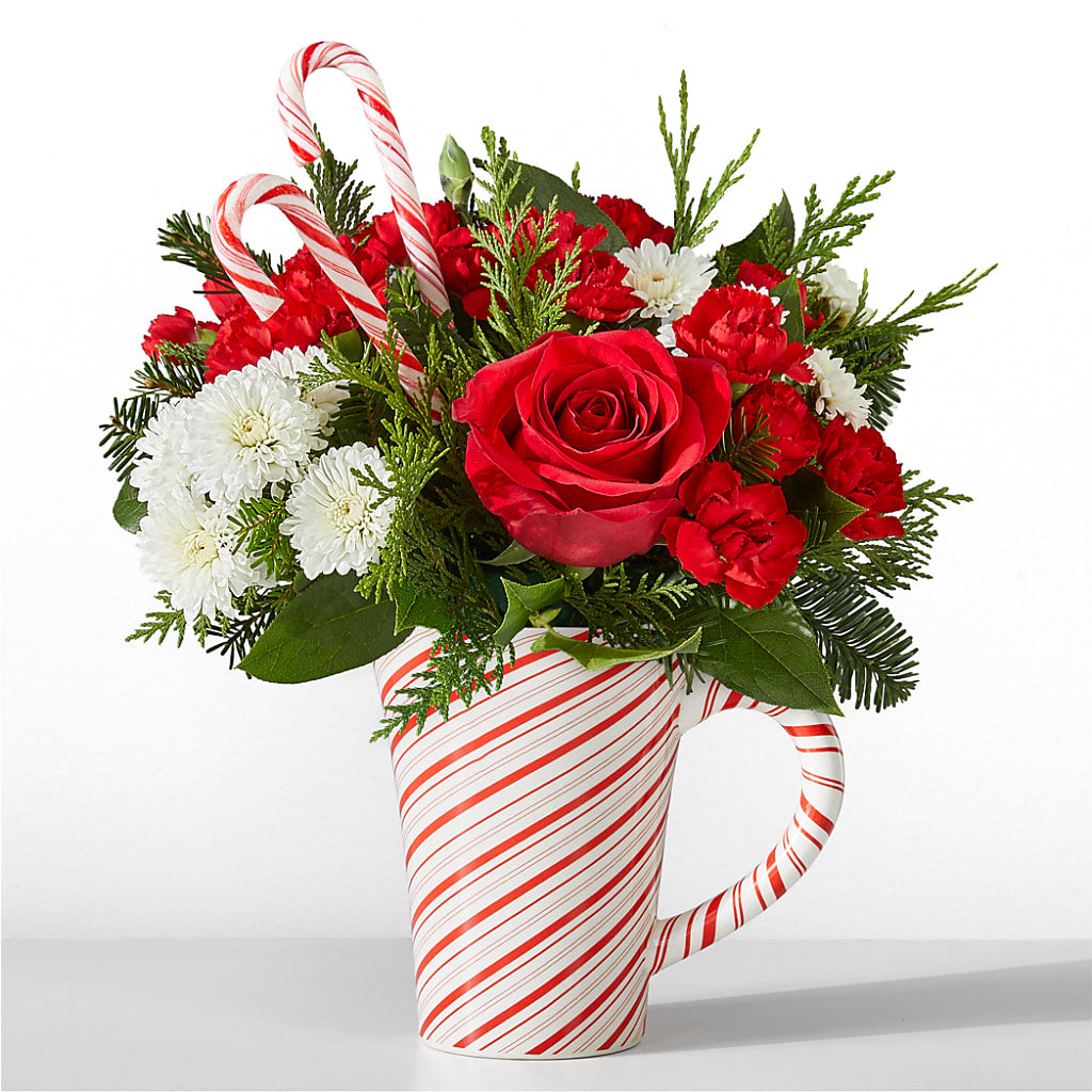Peppermint Swirl Mug – Peonies Plants On Main, Woodruff SC