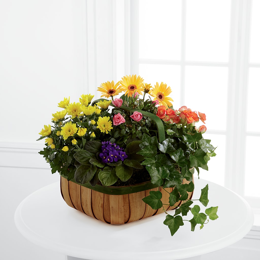 Gentle Blossoms Basket – Peonies Plants On Main, Woodruff SC