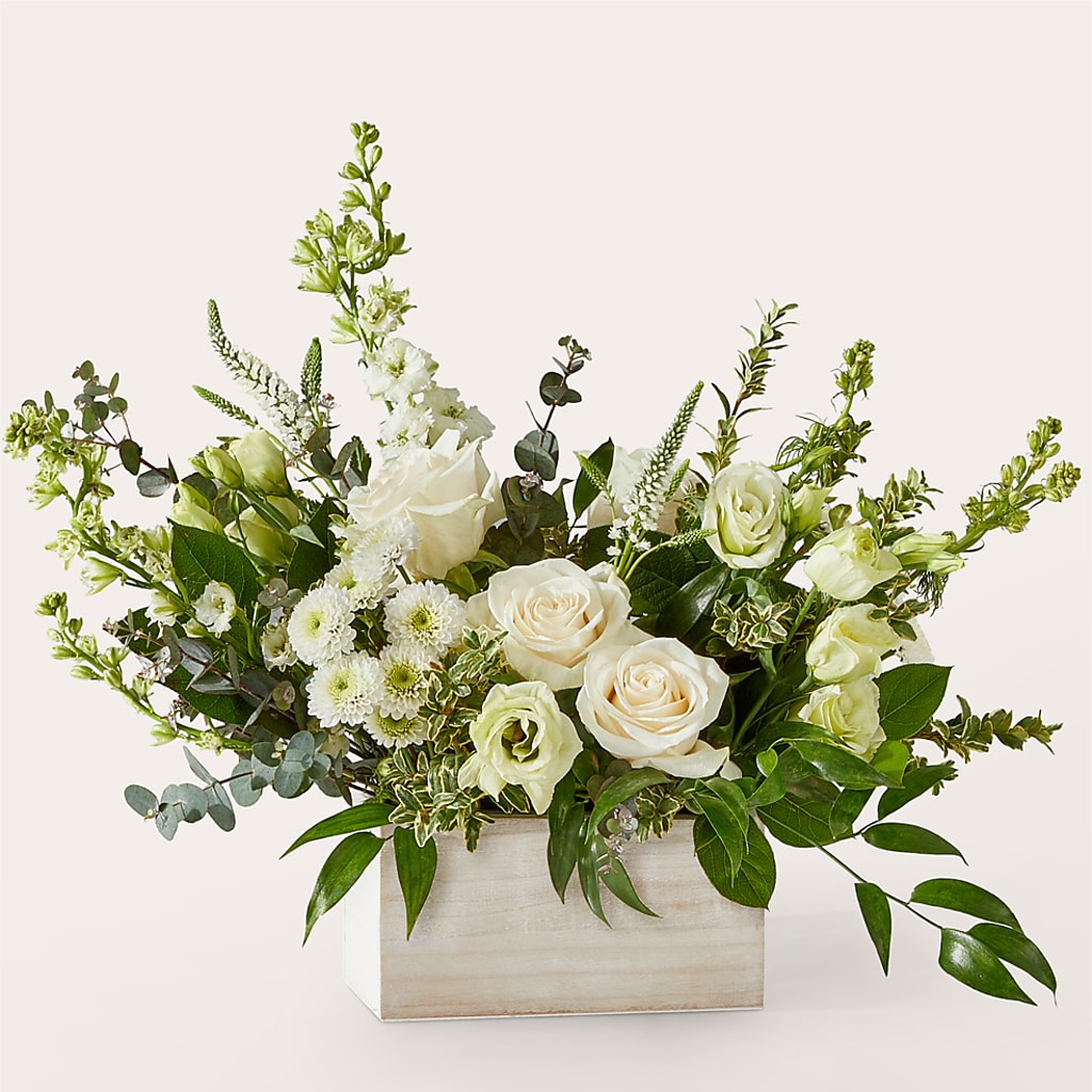 Cashmere Bouquet – Peonies Plants On Main, Woodruff SC