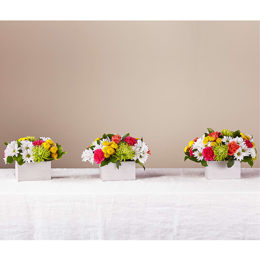 Sorbet Bouquet – Peonies Plants On Main, Woodruff SC