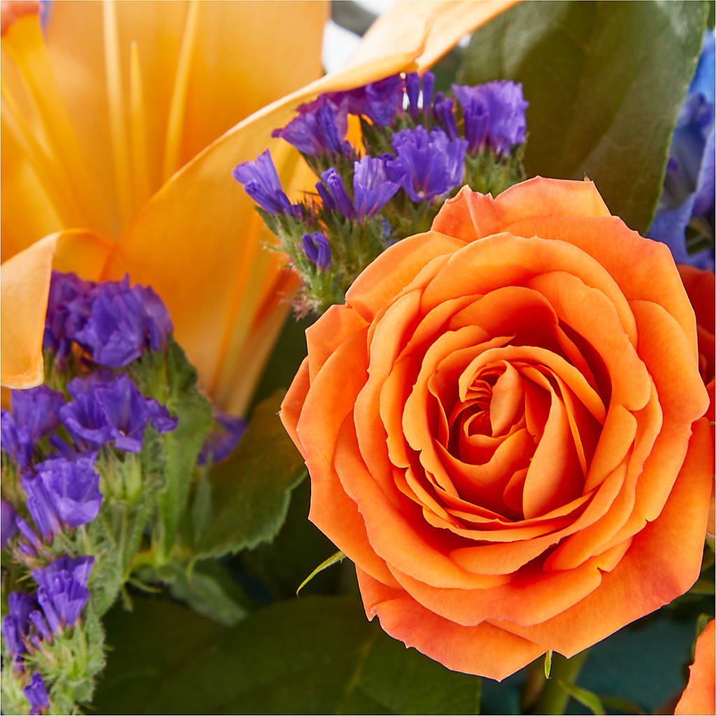 Radiant Citrus Box Bouquet – Peonies Plants On Main, Woodruff SC