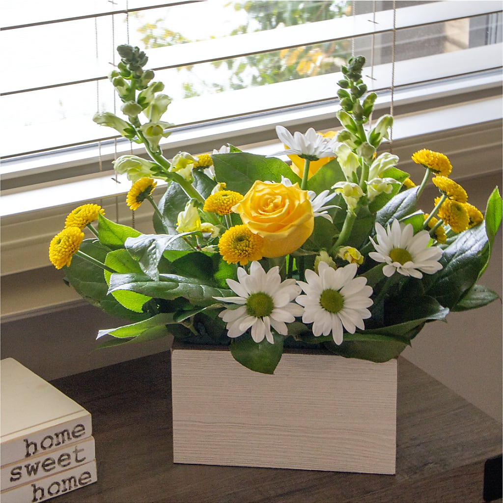 Sun Salutation Box Bouquet – Peonies Plants On Main, Woodruff SC