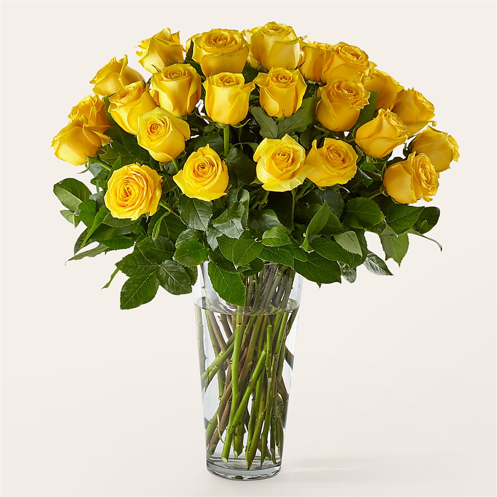Long Stem Yellow Rose Bouquet – Peonies Plants On Main, Woodruff SC