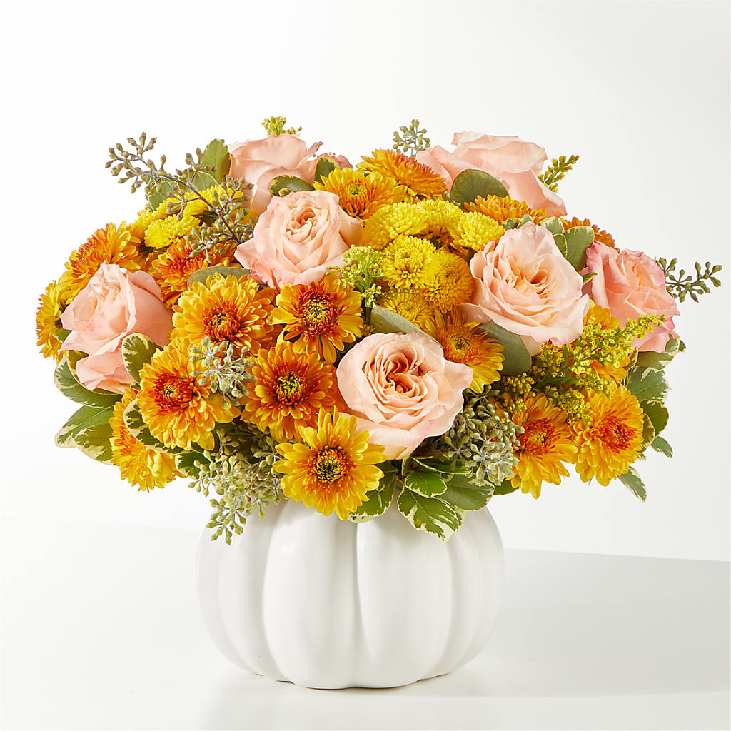 Peachy Pumpkin – Peonies Plants On Main, Woodruff SC