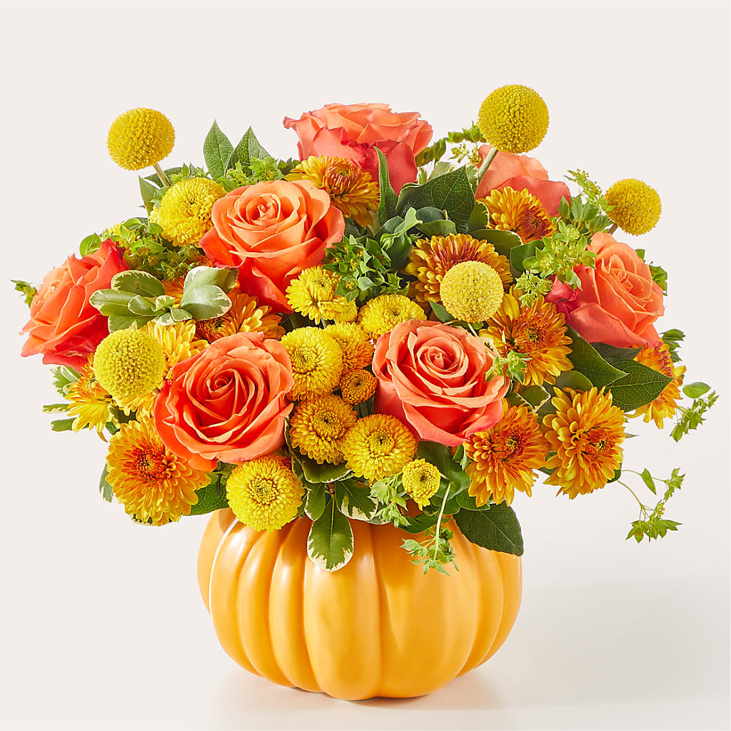 Gourdgeous Pumpkin – Peonies Plants On Main, Woodruff SC