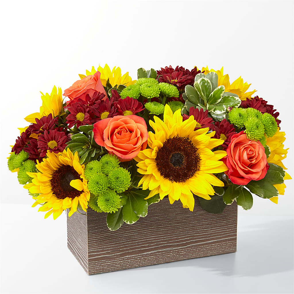 Happy Harvest Garden – Peonies Plants On Main, Woodruff SC