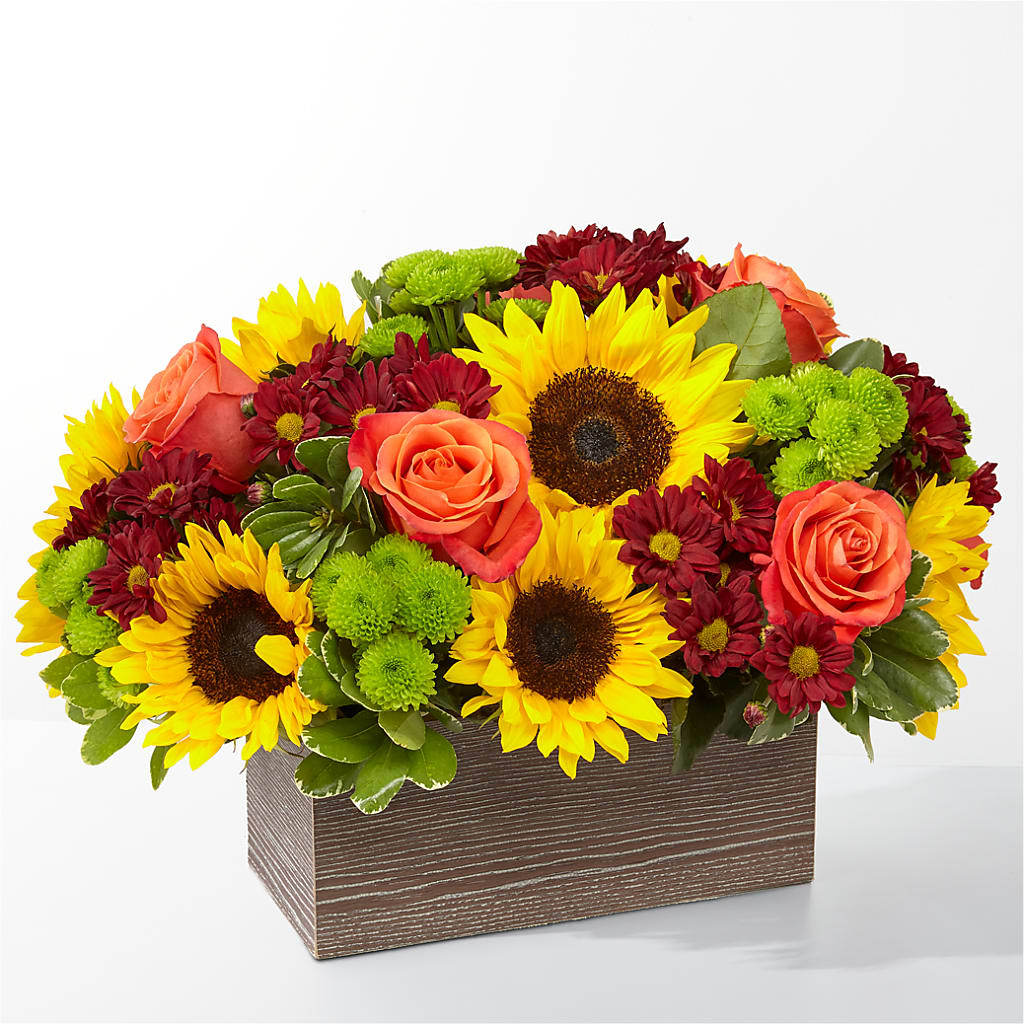 Happy Harvest Garden – Peonies Plants On Main, Woodruff SC