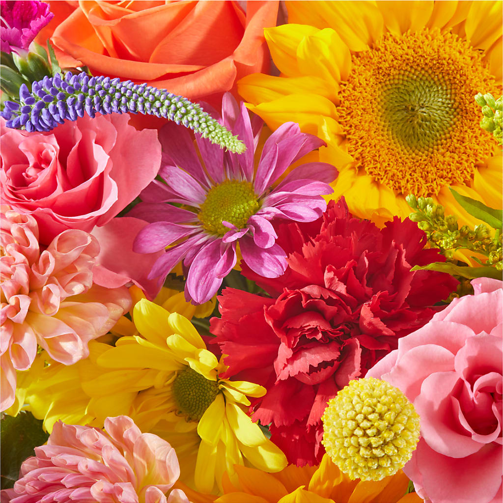 You're Invited - A Florist Original – Peonies Plants On Main, Woodruff SC