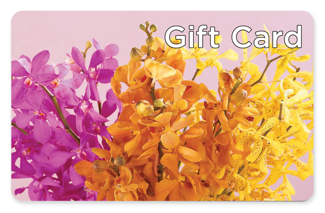 Gift Card – Peonies Plants On Main, Woodruff SC