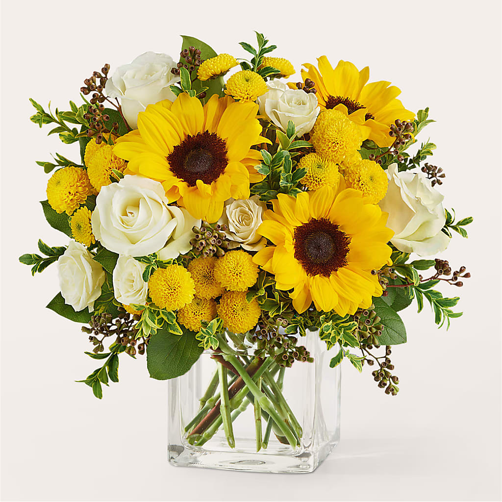 Luminous Morning Bouquet – Peonies Plants On Main, Woodruff SC
