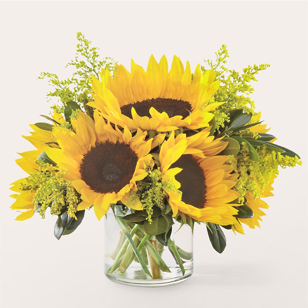Beaming Sunflower Bouquet – Peonies Plants On Main, Woodruff SC