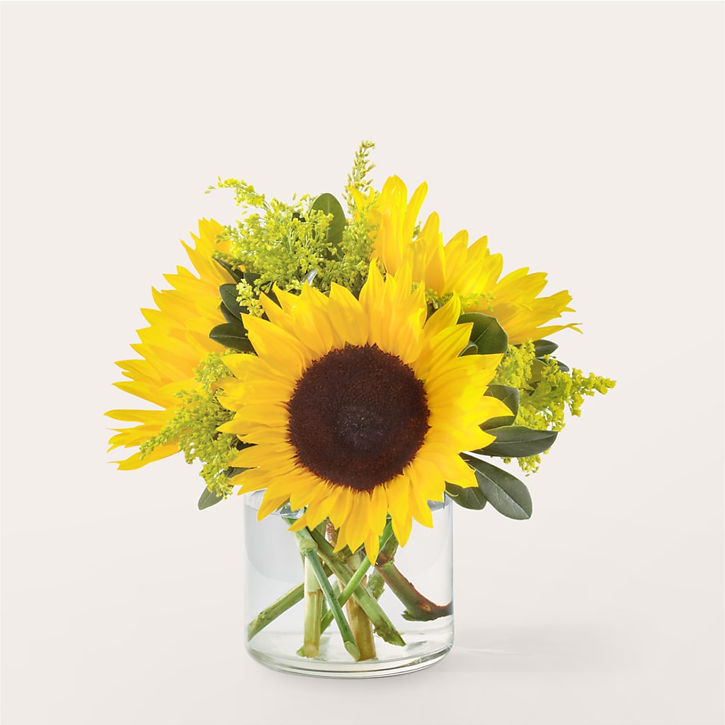 Beaming Sunflower Bouquet – Peonies Plants On Main, Woodruff SC