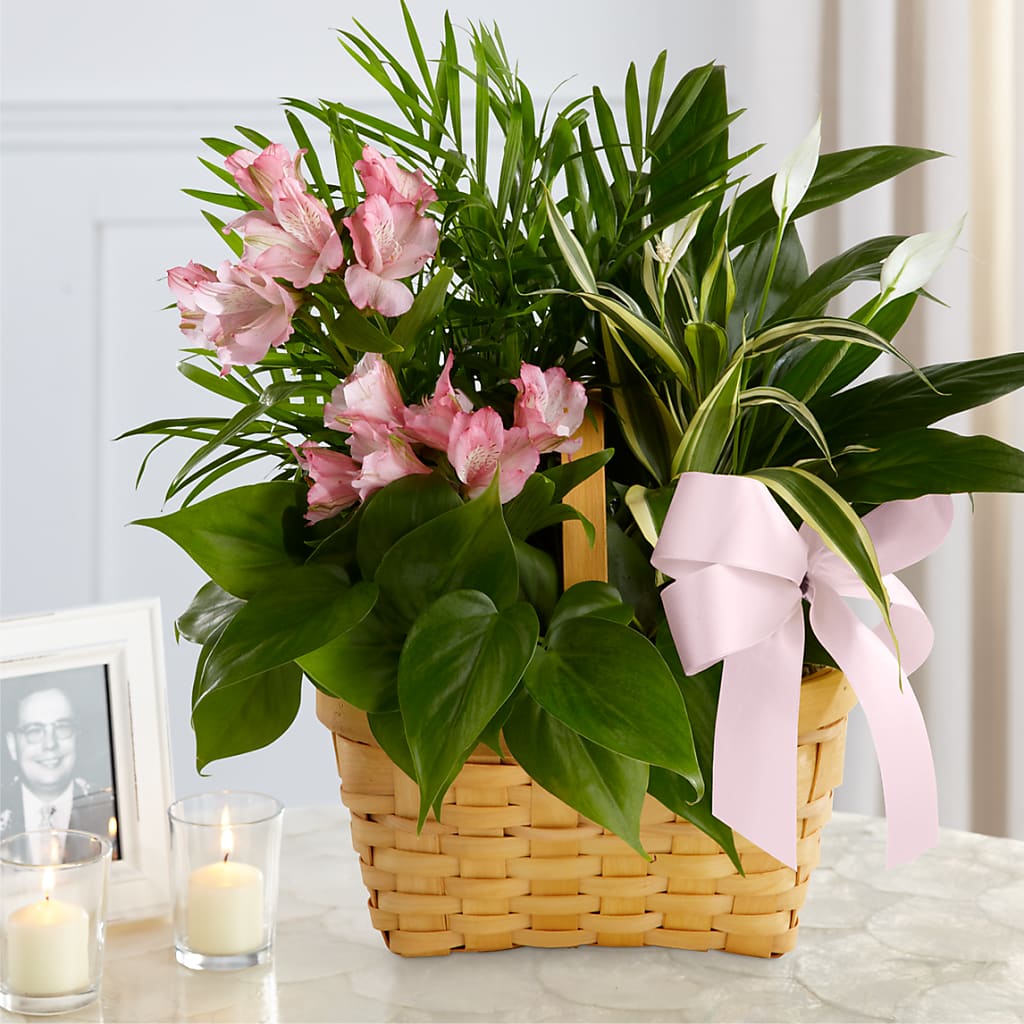 Living Spirit Dishgarden – Peonies Plants On Main, Woodruff SC