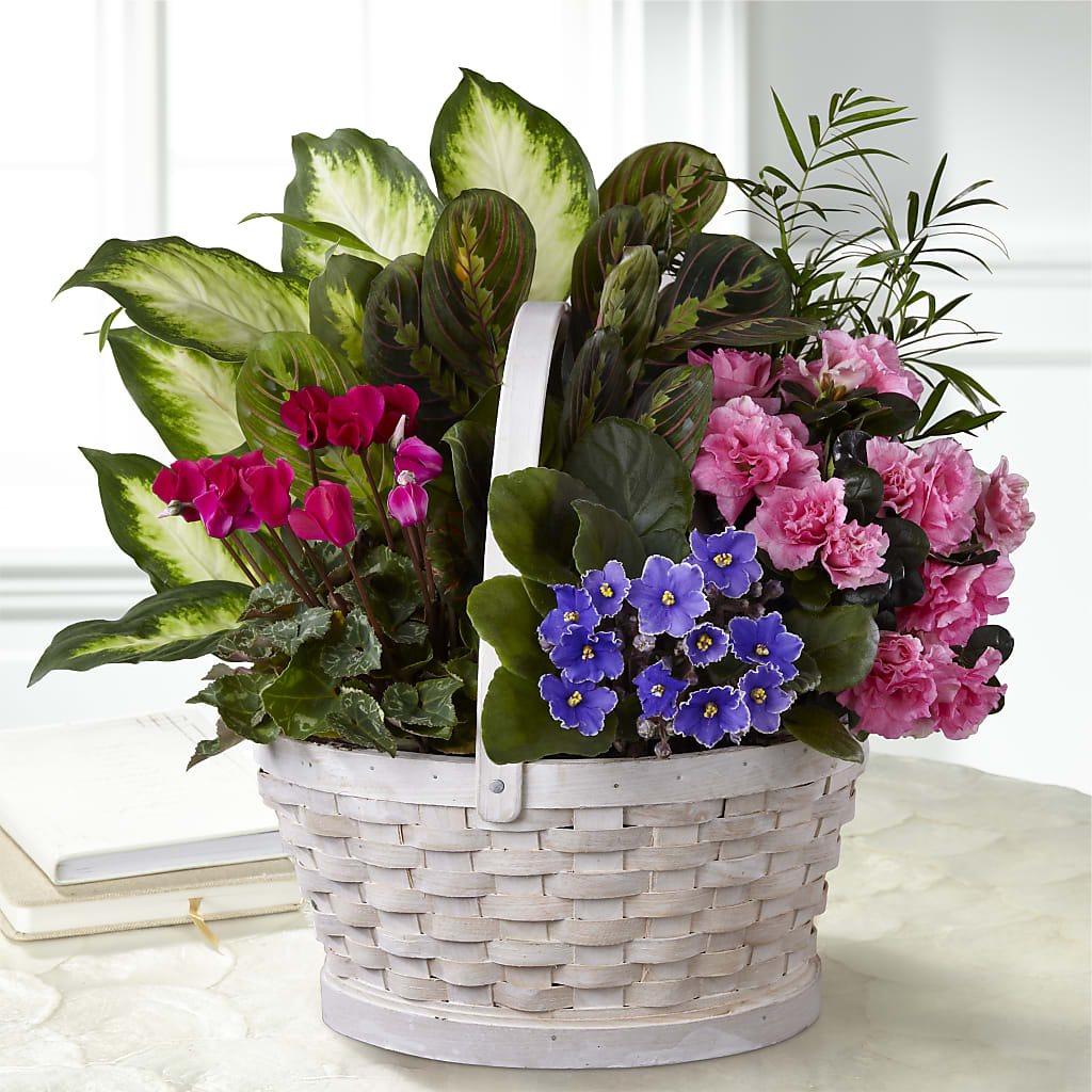 Peaceful Garden Planter – Peonies Plants On Main, Woodruff SC