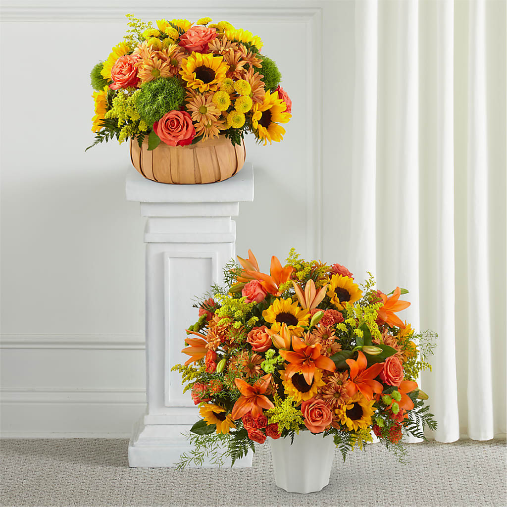 Heart of Gold Bundles – Peonies Plants On Main, Woodruff SC