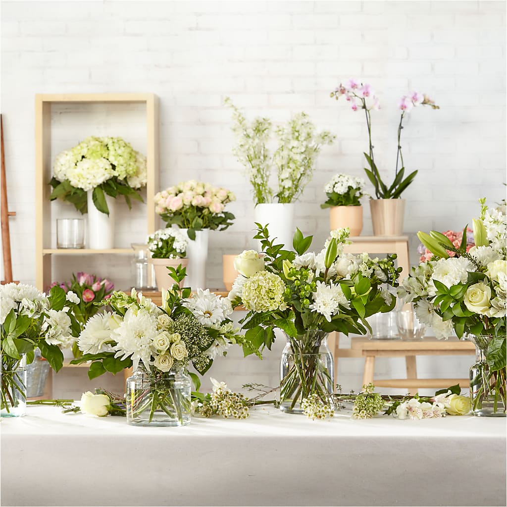 Classic Ivory – A Florist Original – Peonies Plants On Main, Woodruff SC
