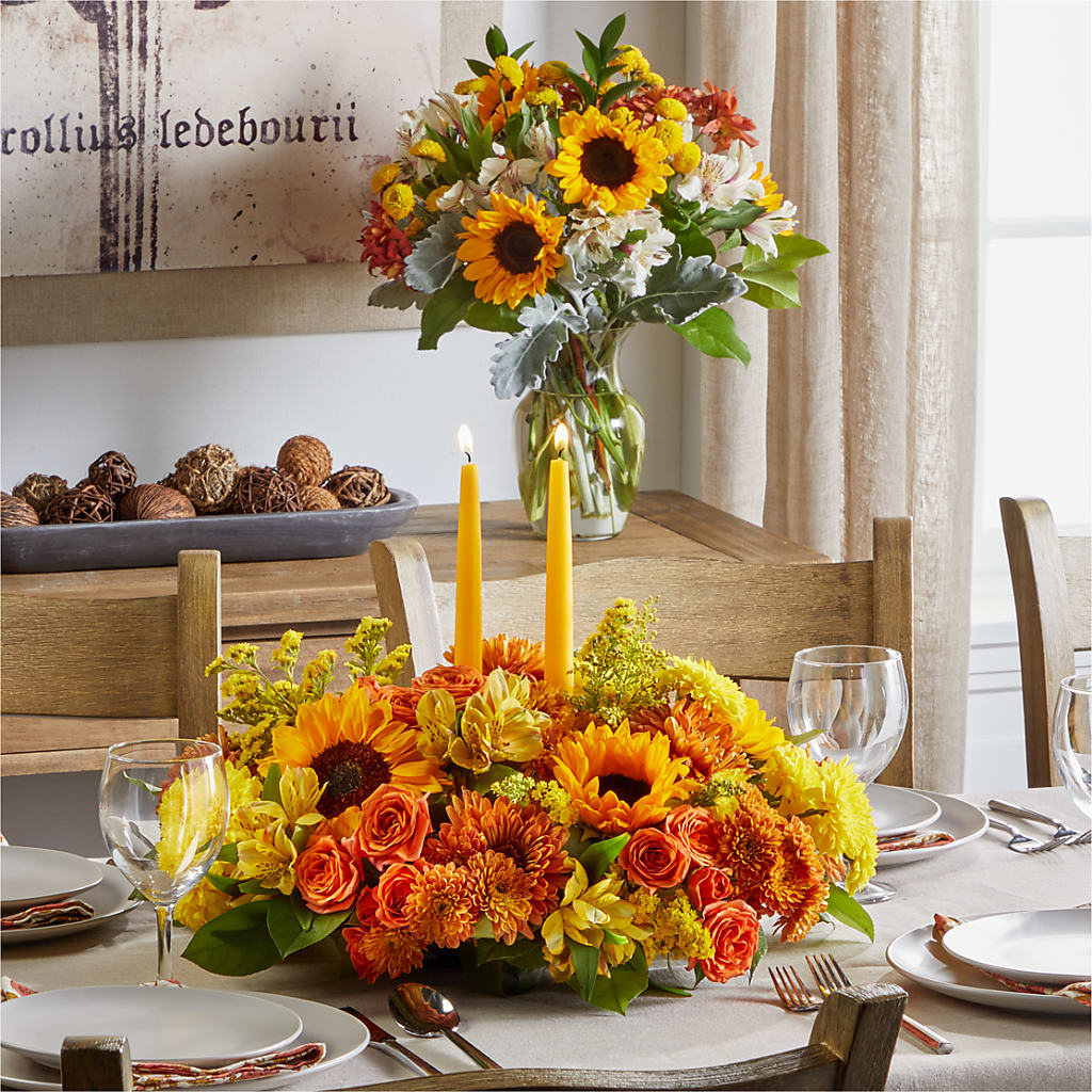 Golden Gathering Bundle – Peonies Plants On Main, Woodruff SC