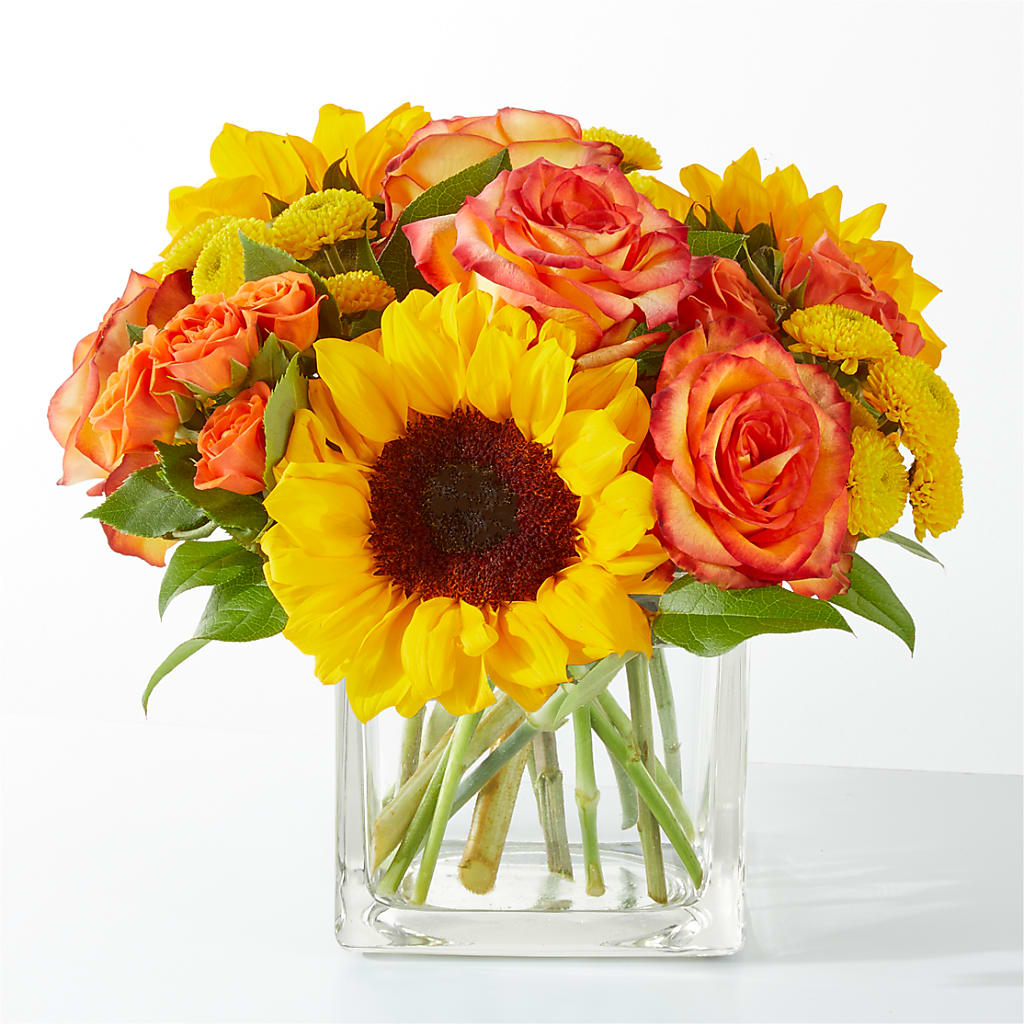 Picnic in the Park Bouquet – Peonies Plants On Main, Woodruff SC