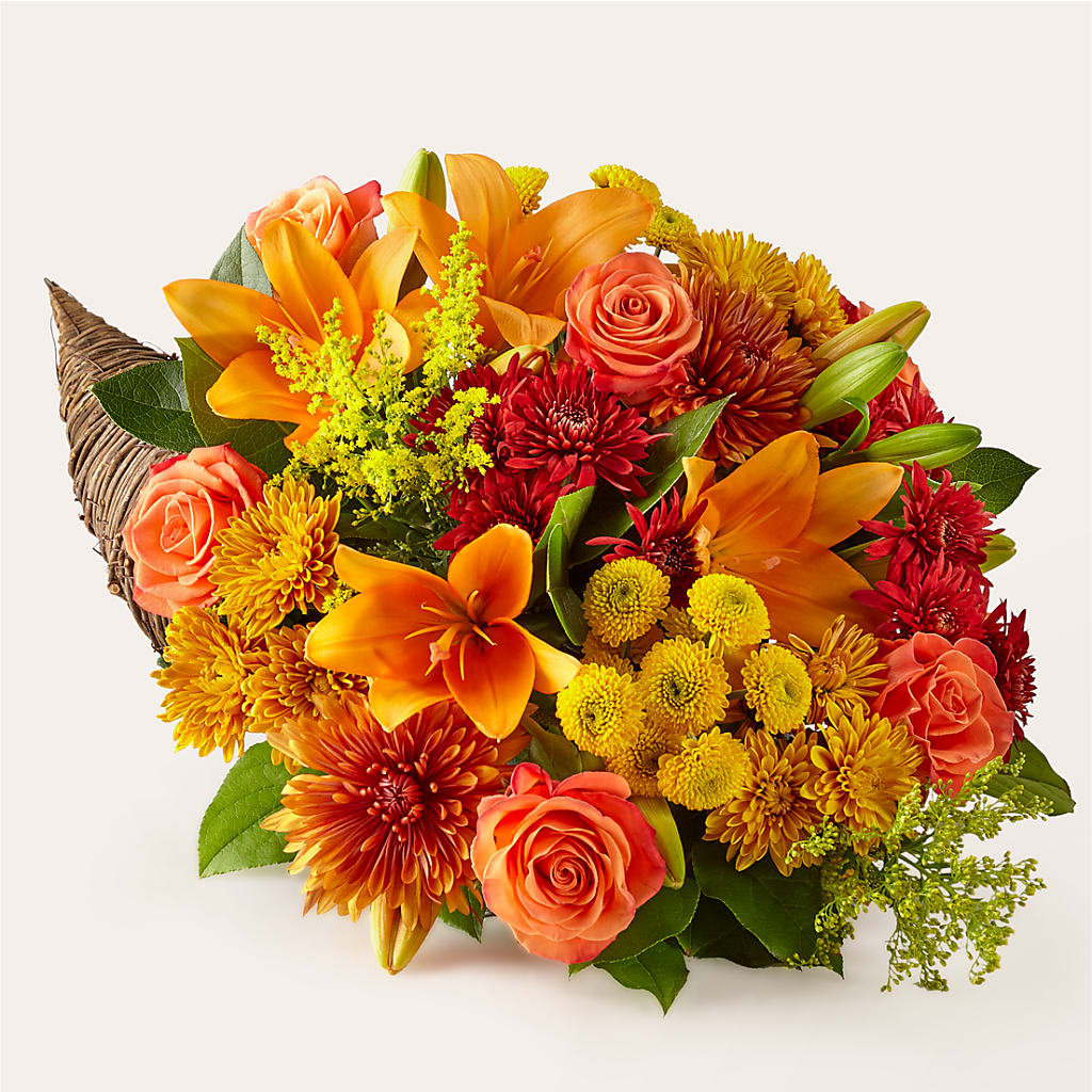 Feast of Color Cornucopia – Peonies Plants On Main, Woodruff SC