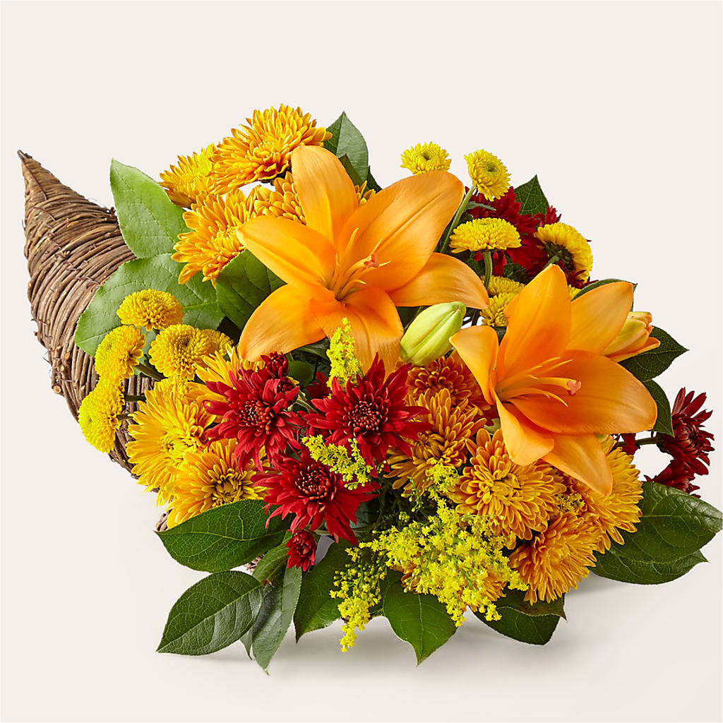 Feast of Color Cornucopia – Peonies Plants On Main, Woodruff SC