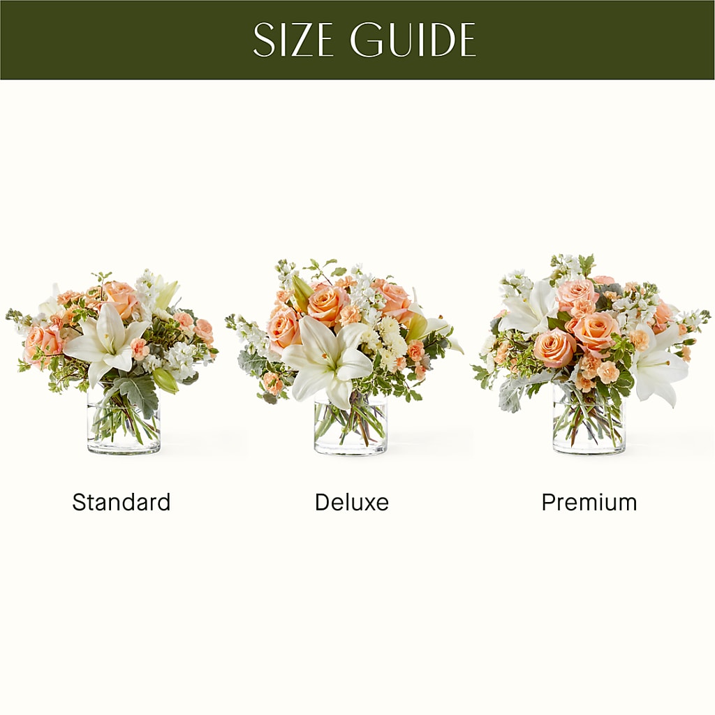 Darling Bouquet – Peonies Plants On Main, Woodruff SC