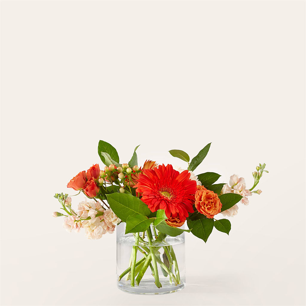 Paloma Please Bouquet – Peonies Plants On Main, Woodruff SC