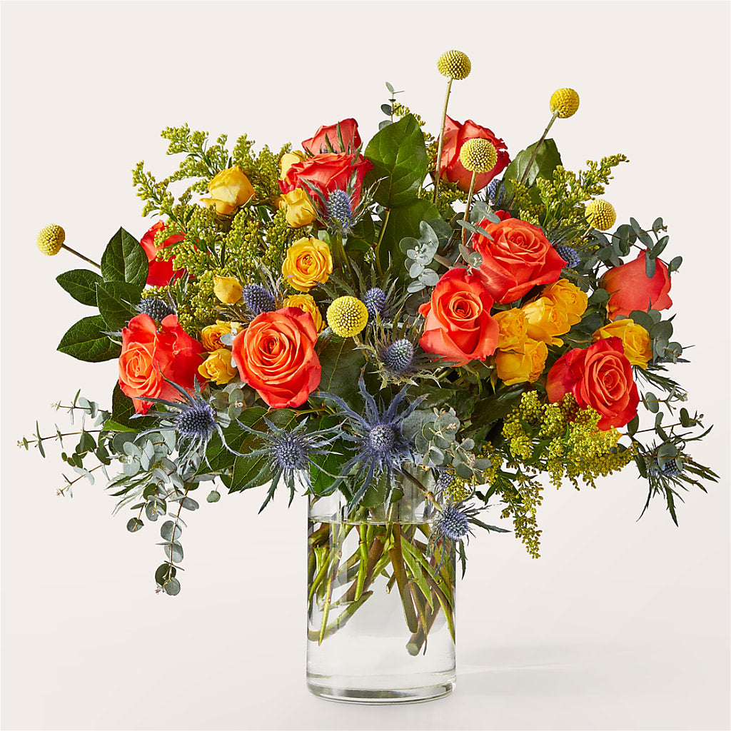 Disco Bouquet – Peonies Plants On Main, Woodruff SC