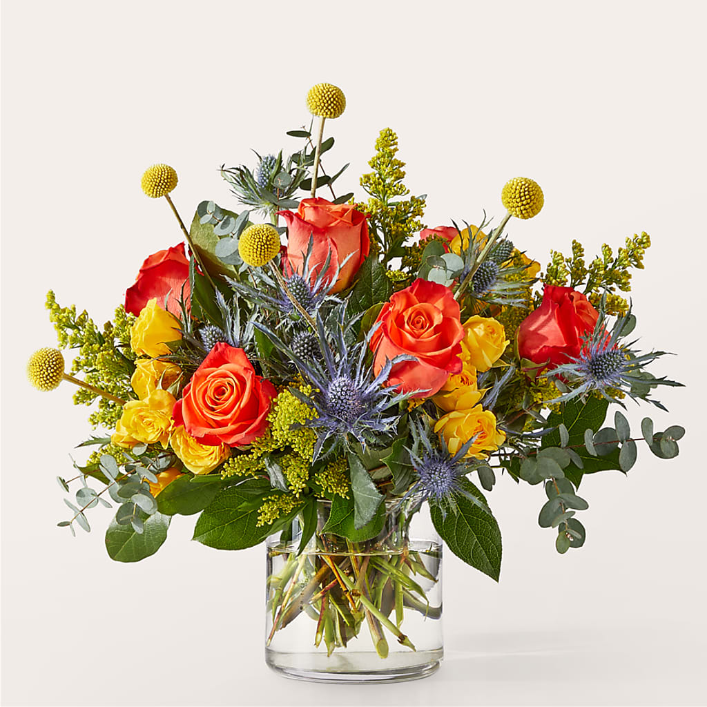Disco Bouquet – Peonies Plants On Main, Woodruff SC