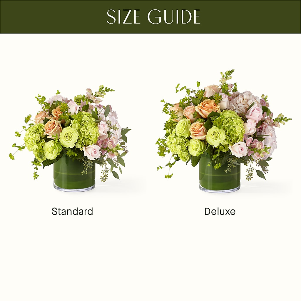 The Art Deco – Peonies Plants On Main, Woodruff SC