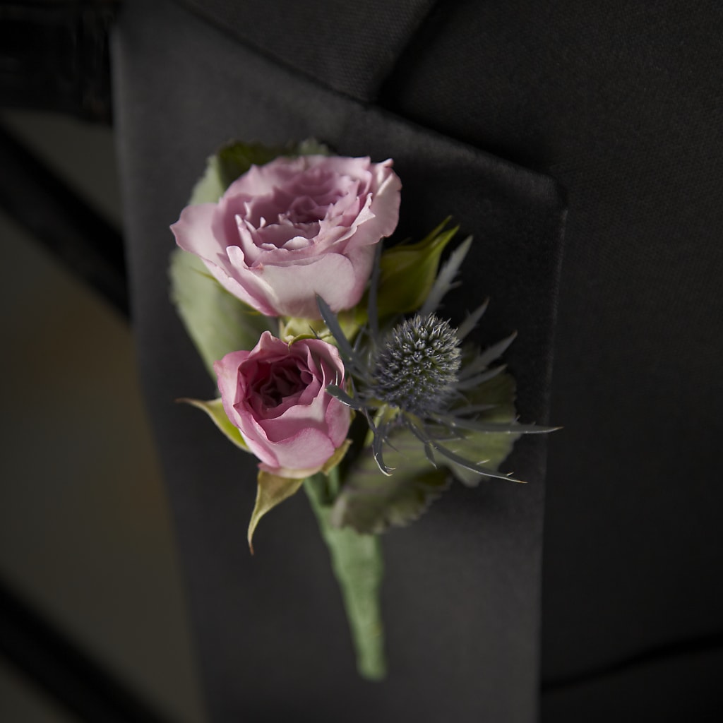 Veronica Boutonniere – Peonies Plants On Main, Woodruff SC
