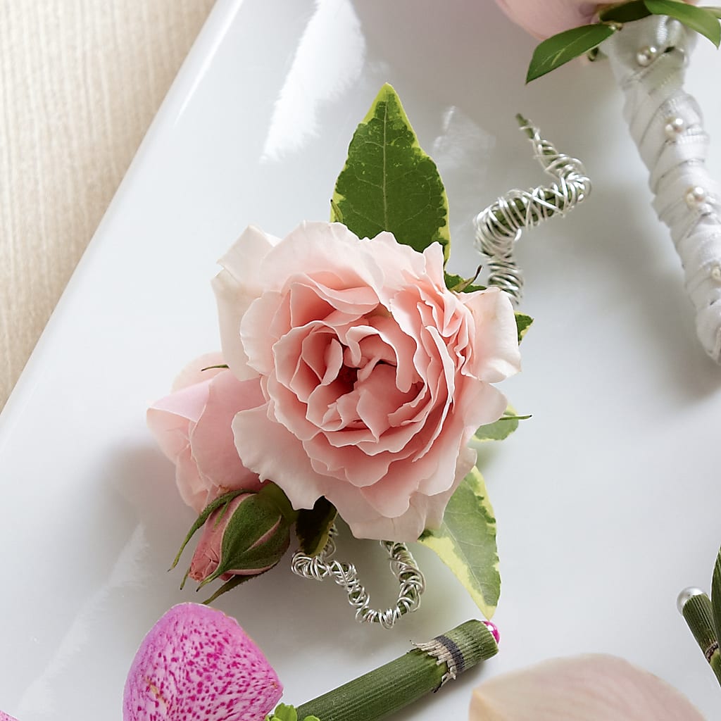 Pink Spray Rose Boutonniere – Peonies Plants On Main, Woodruff SC