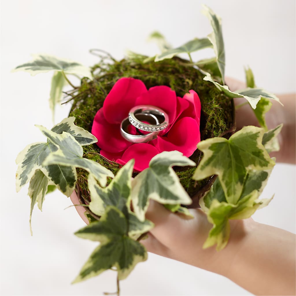 Lila Rose Ring Nest – Peonies Plants On Main, Woodruff SC