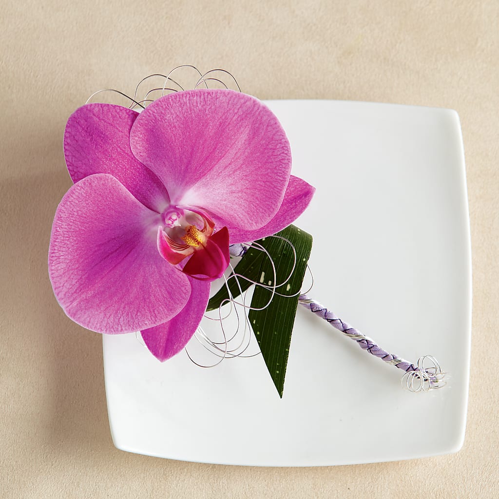 Glorious Boutonniere – Peonies Plants On Main, Woodruff SC