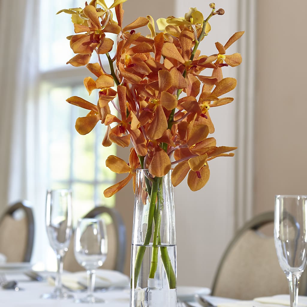 Orange Mokara Bud Vase – Peonies Plants On Main, Woodruff SC