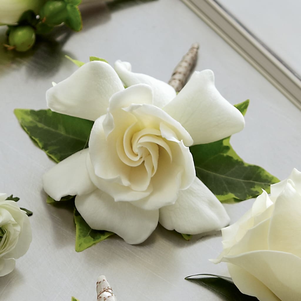 Gardenia Boutonniere – Peonies Plants On Main, Woodruff SC