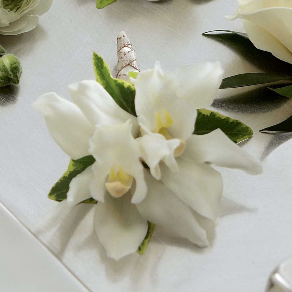 White Mini Cymbidium Boutonniere – Peonies Plants On Main, Woodruff SC