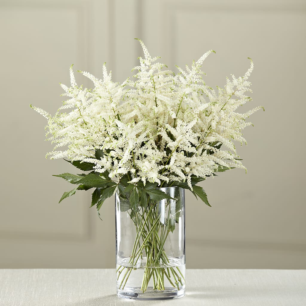 White Astilbe Bouquet – Peonies Plants On Main, Woodruff SC