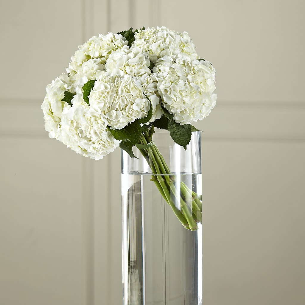 White Hydrangea Hand-Tied Bouquet – Peonies Plants On Main, Woodruff SC