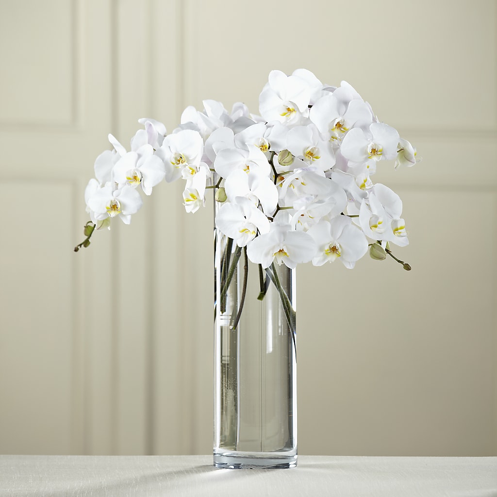 White Phalaenopsis Bouquet – Peonies Plants On Main, Woodruff SC