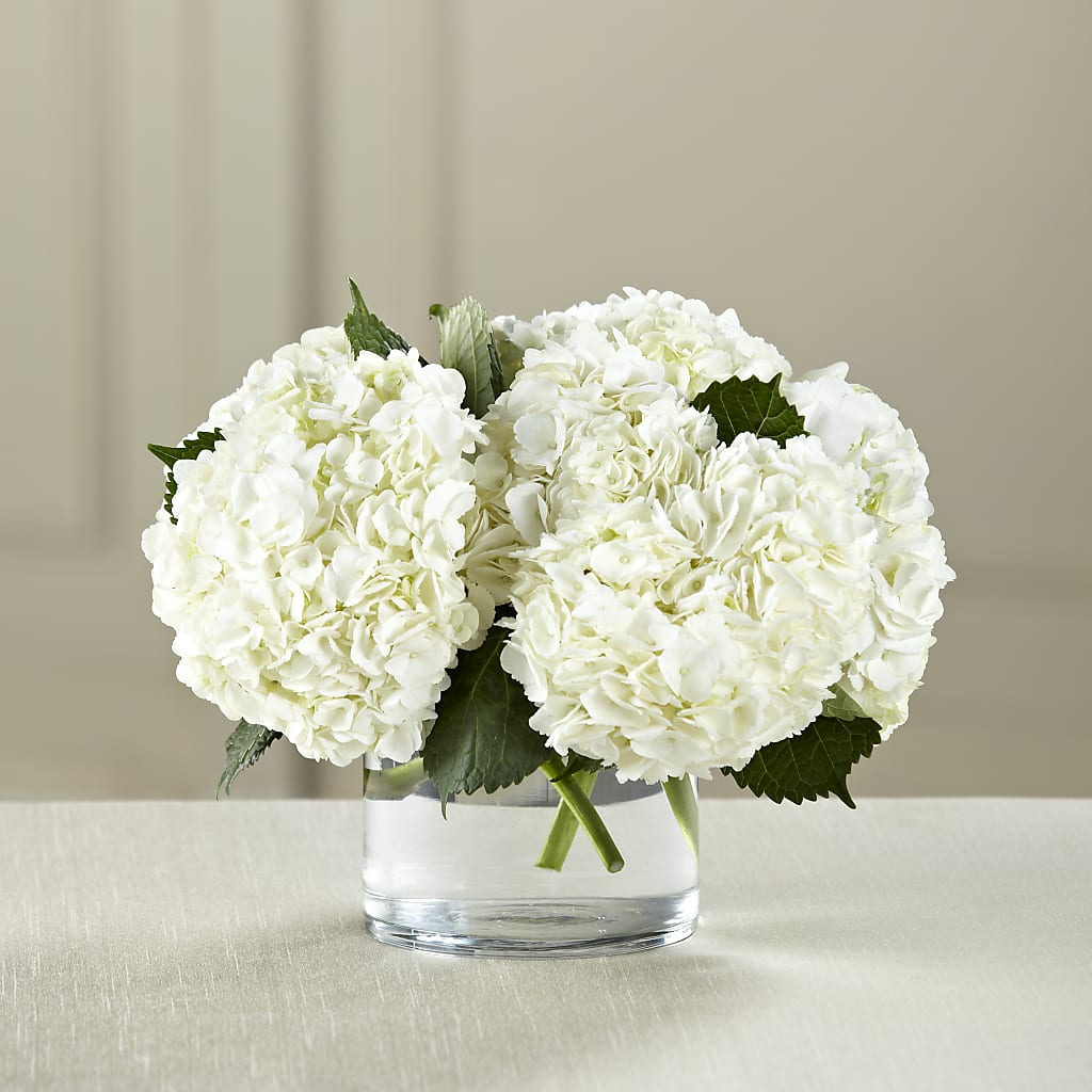 White Hydrangea Bouquet – Peonies Plants On Main, Woodruff SC