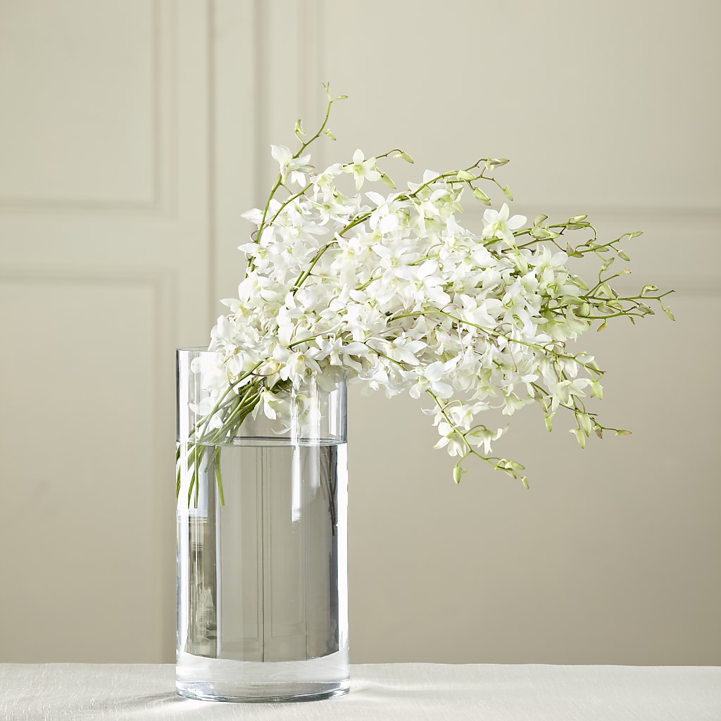 White Dendrobium Bouquet – Peonies Plants On Main, Woodruff SC