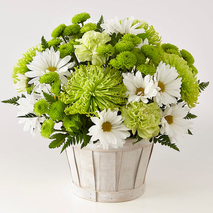Lucky Charm Basket (Standard) –  Peonies Plants On Main, Woodruff SC