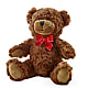 Adorable Plush Bear –  Peonies Plants On Main, Woodruff SC