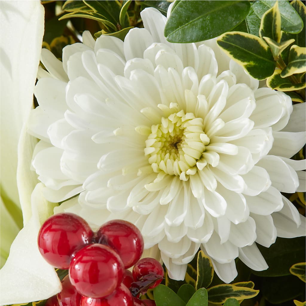 Festive Moments Tree –  Peonies Plants On Main, Woodruff SC