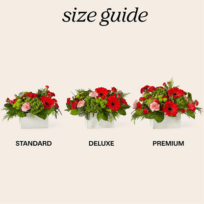 The Rudolph Bouquet –  Peonies Plants On Main, Woodruff SC