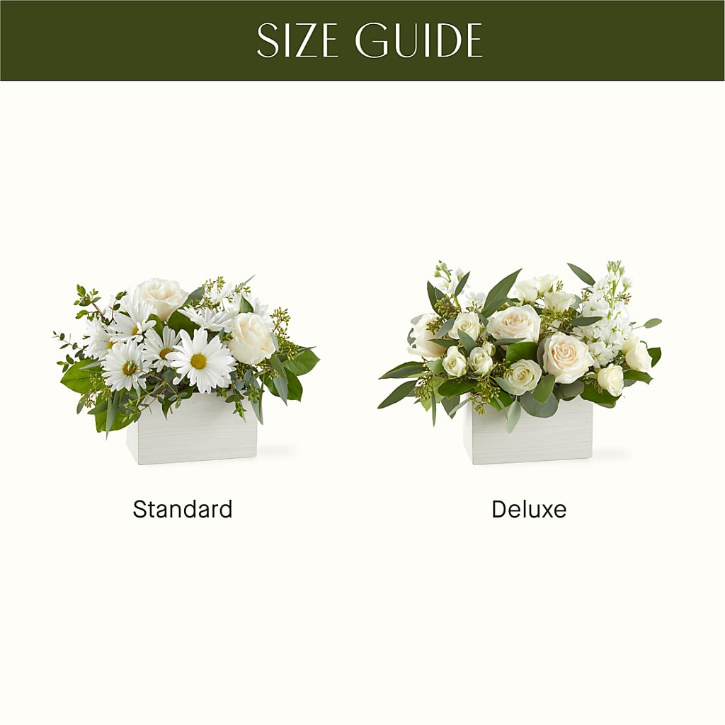 Fresh Linen Box Bouquet –  Peonies Plants On Main, Woodruff SC